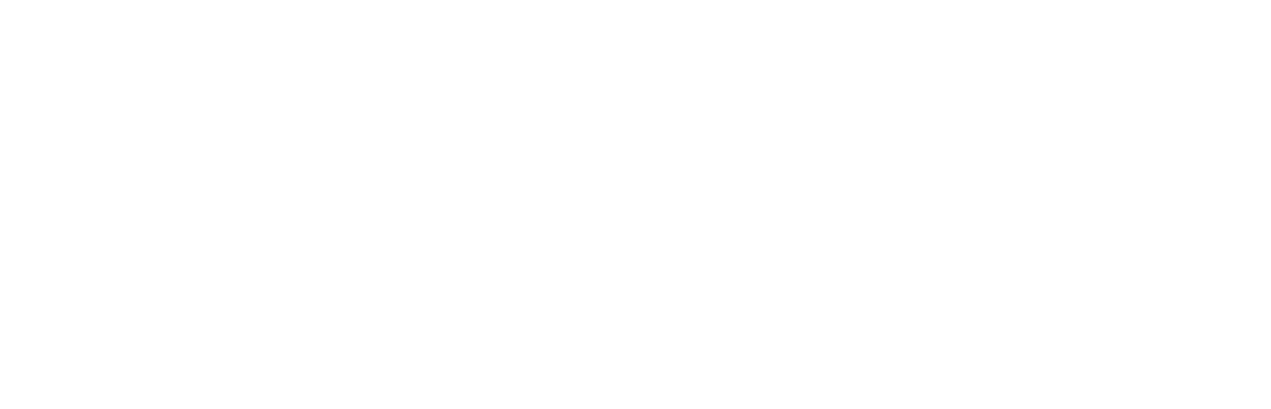 ESCO Store
